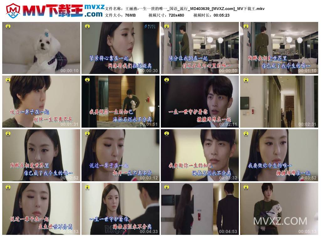 王丽燕-一生一世的唯一_国语_流行_MD403639